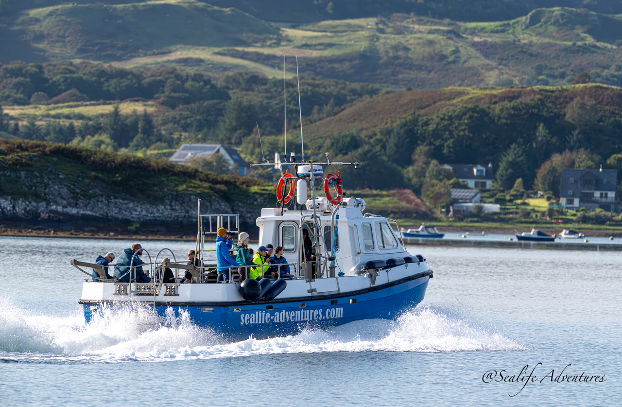 Sealife Adventures boat in scotland sailing past the land with people looking out to the water